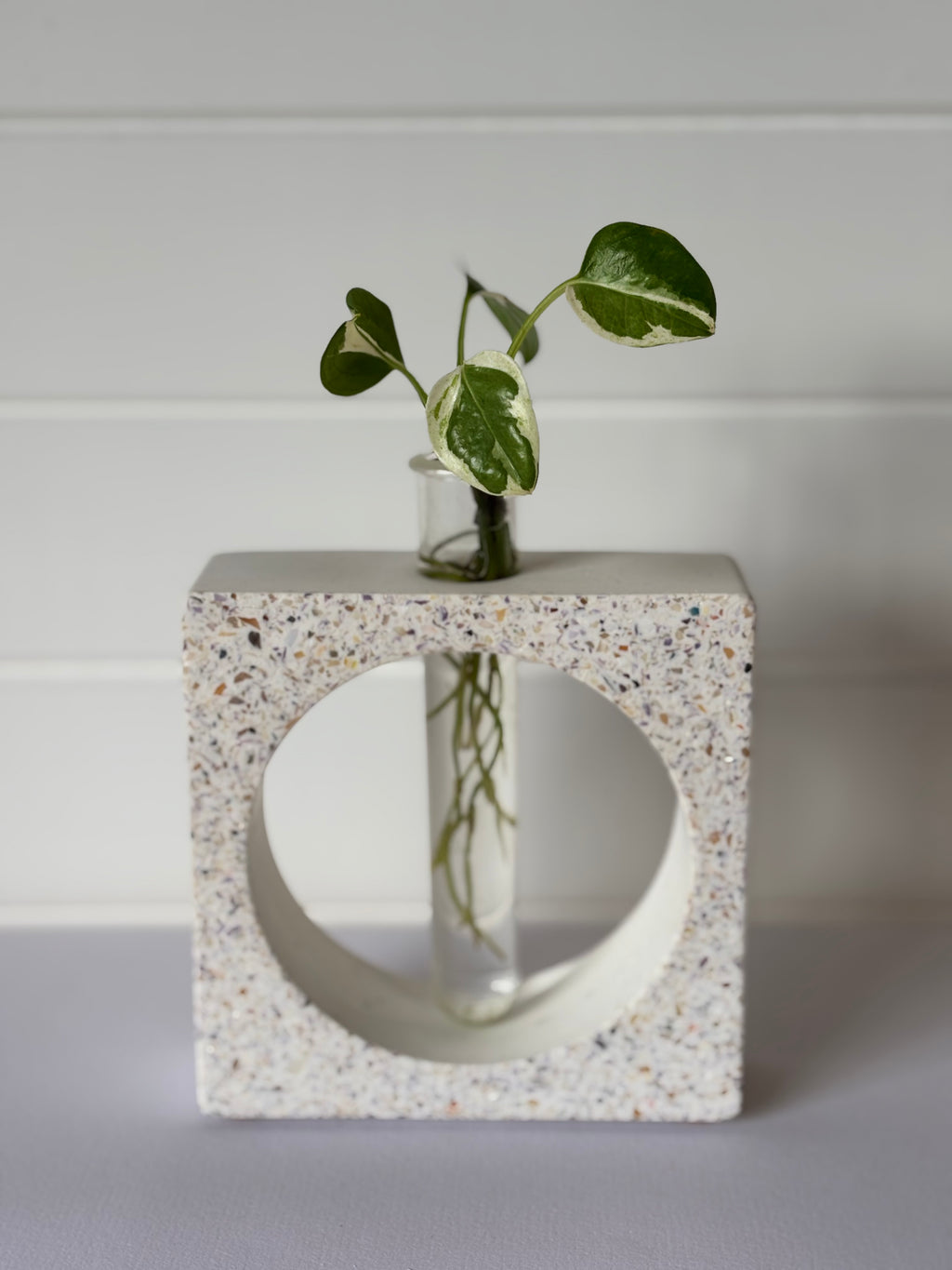 Propagation Vase