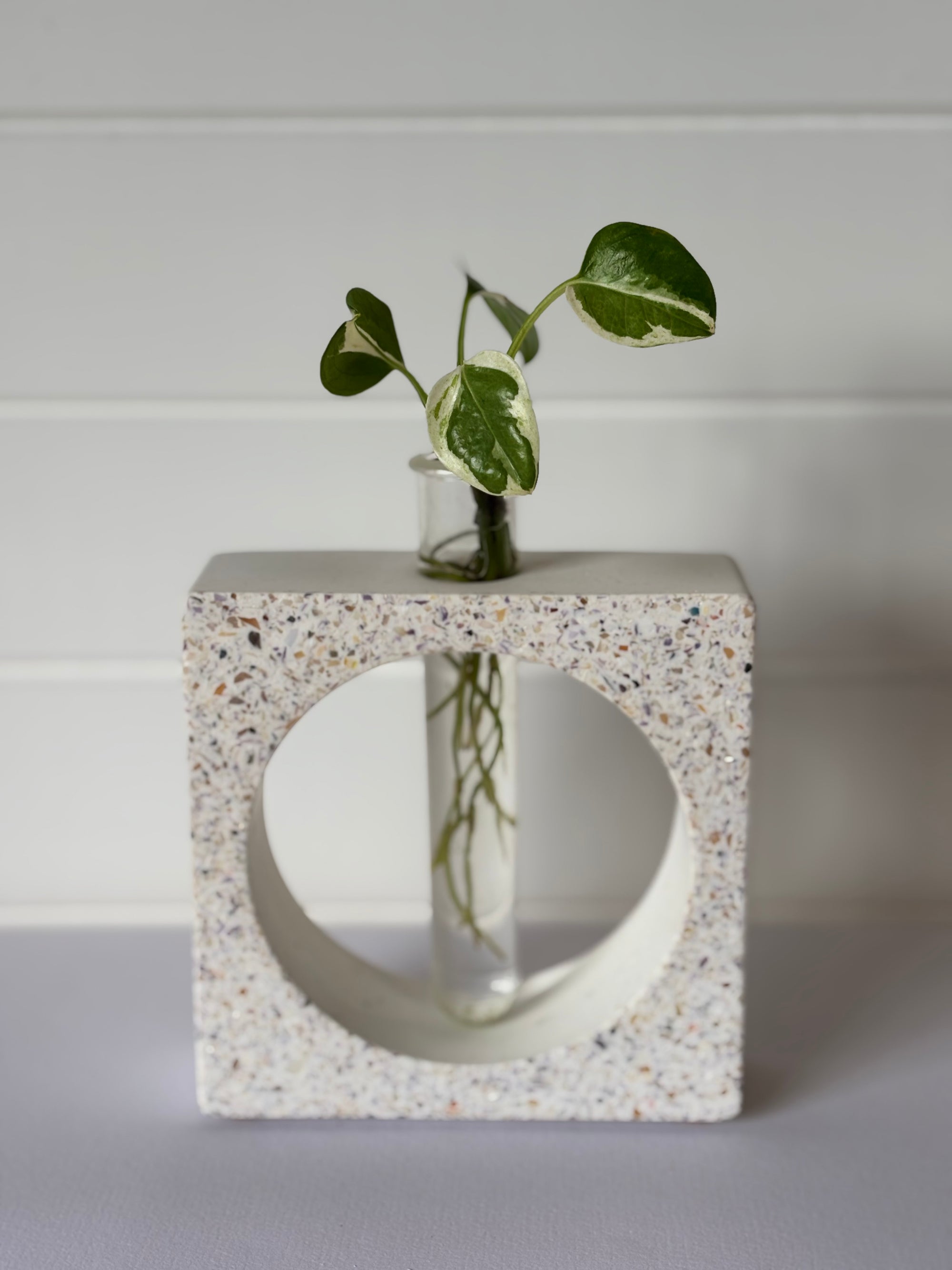 Propagation Vase