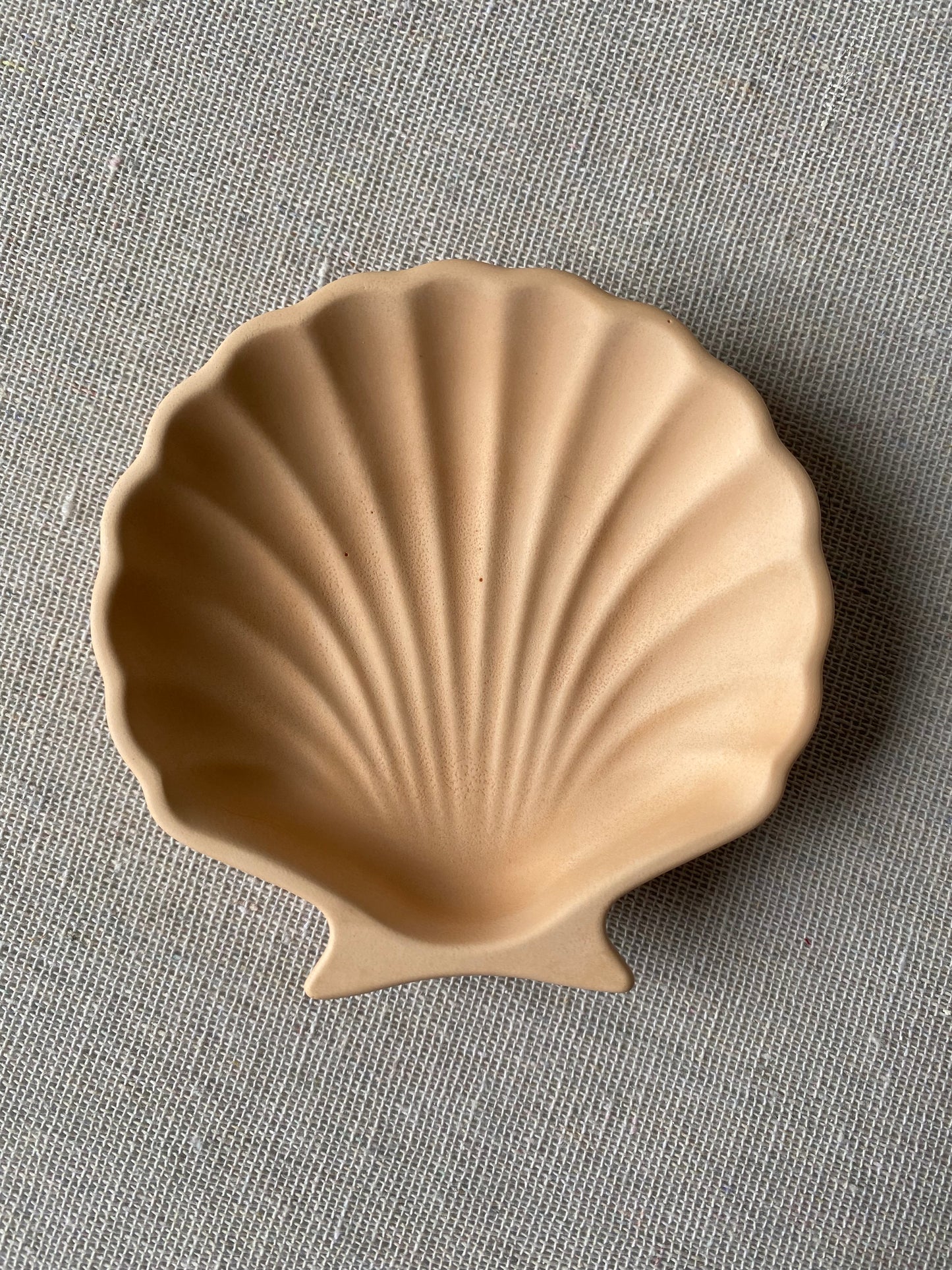 Eco Resin Shell Trinket Dish