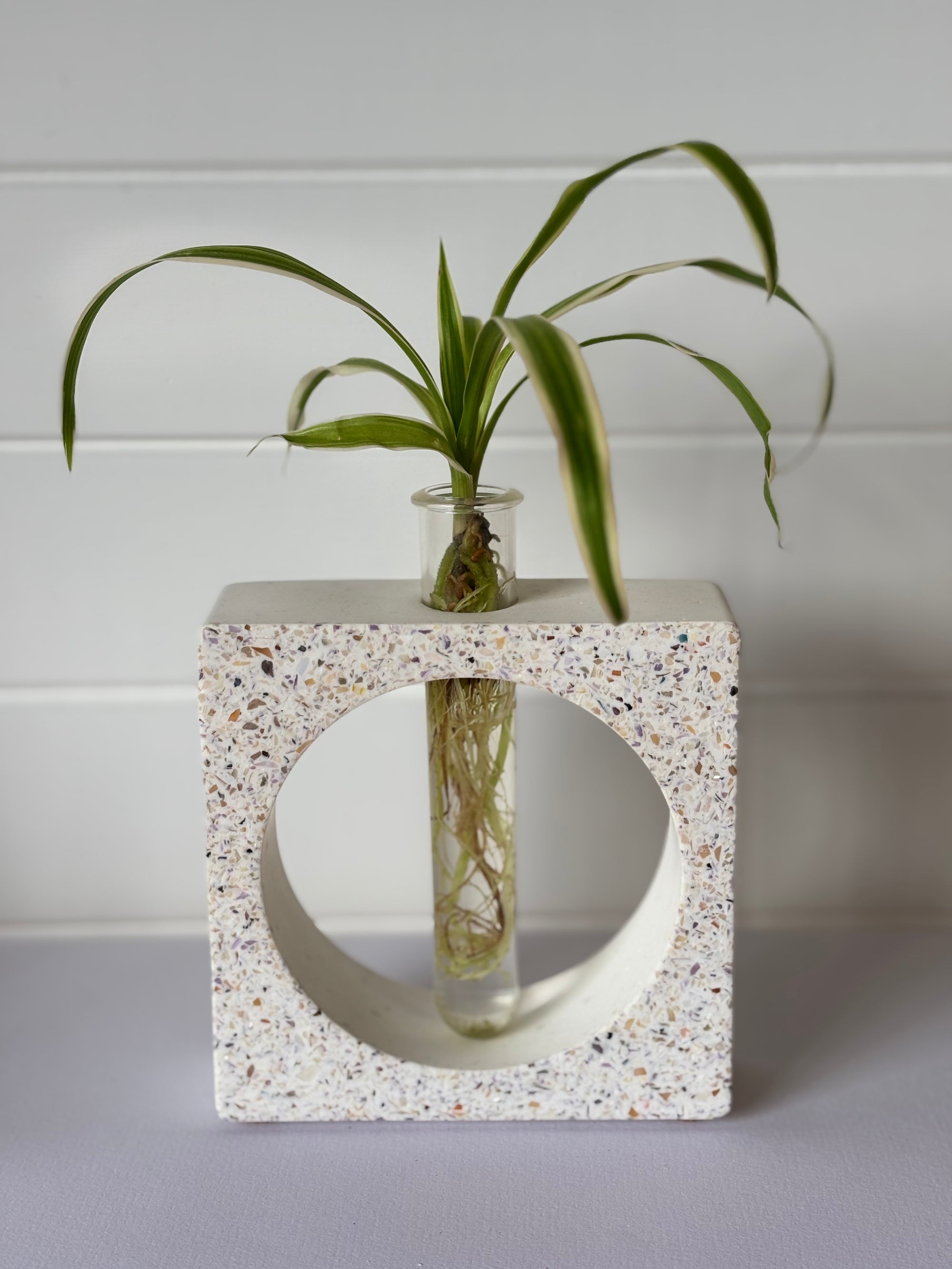 Propagation Vase