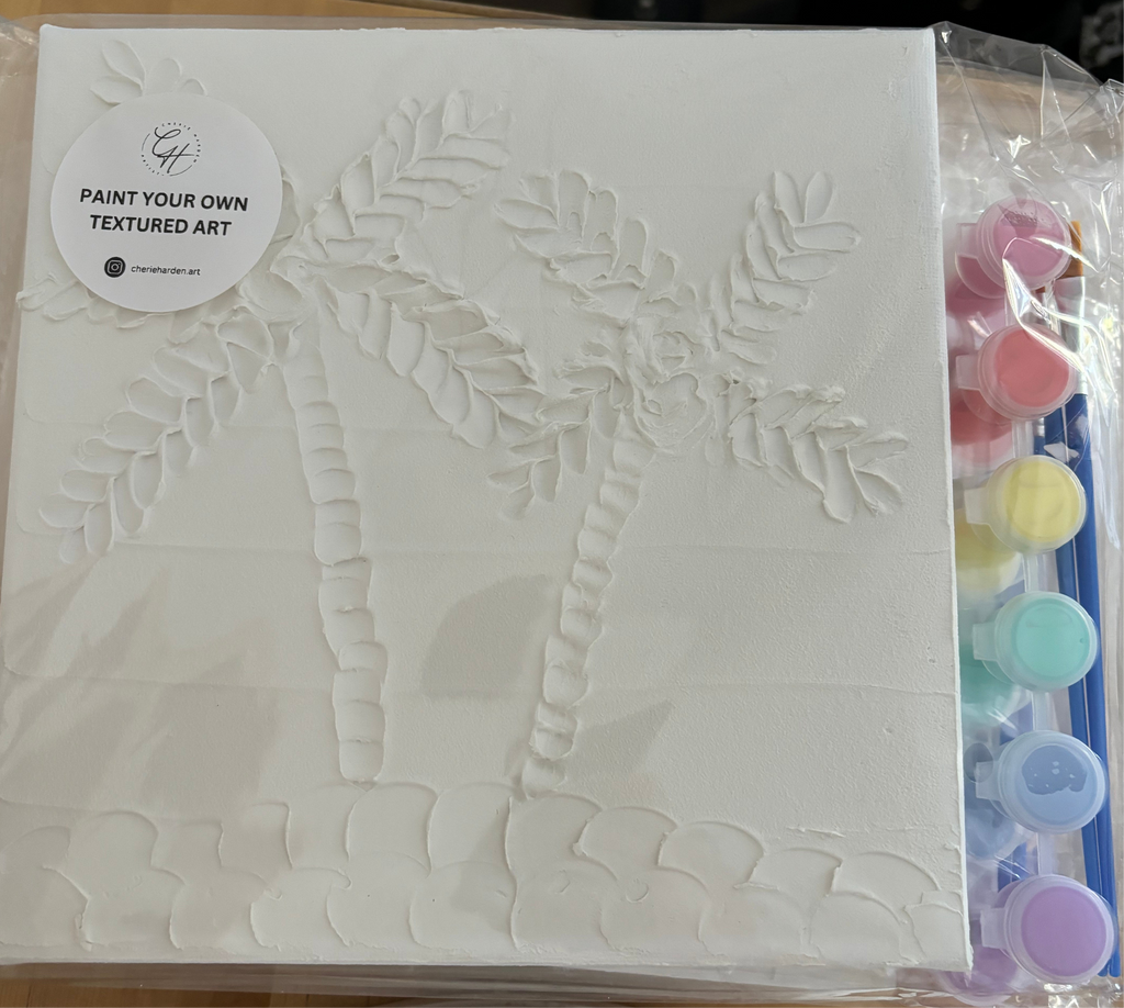 A sealed plastic packaging containing a 'Paint Your Own Textured Art' kit with a white primed canvas visible through the clear front, alongside six paint pots in different colors and two brushes.