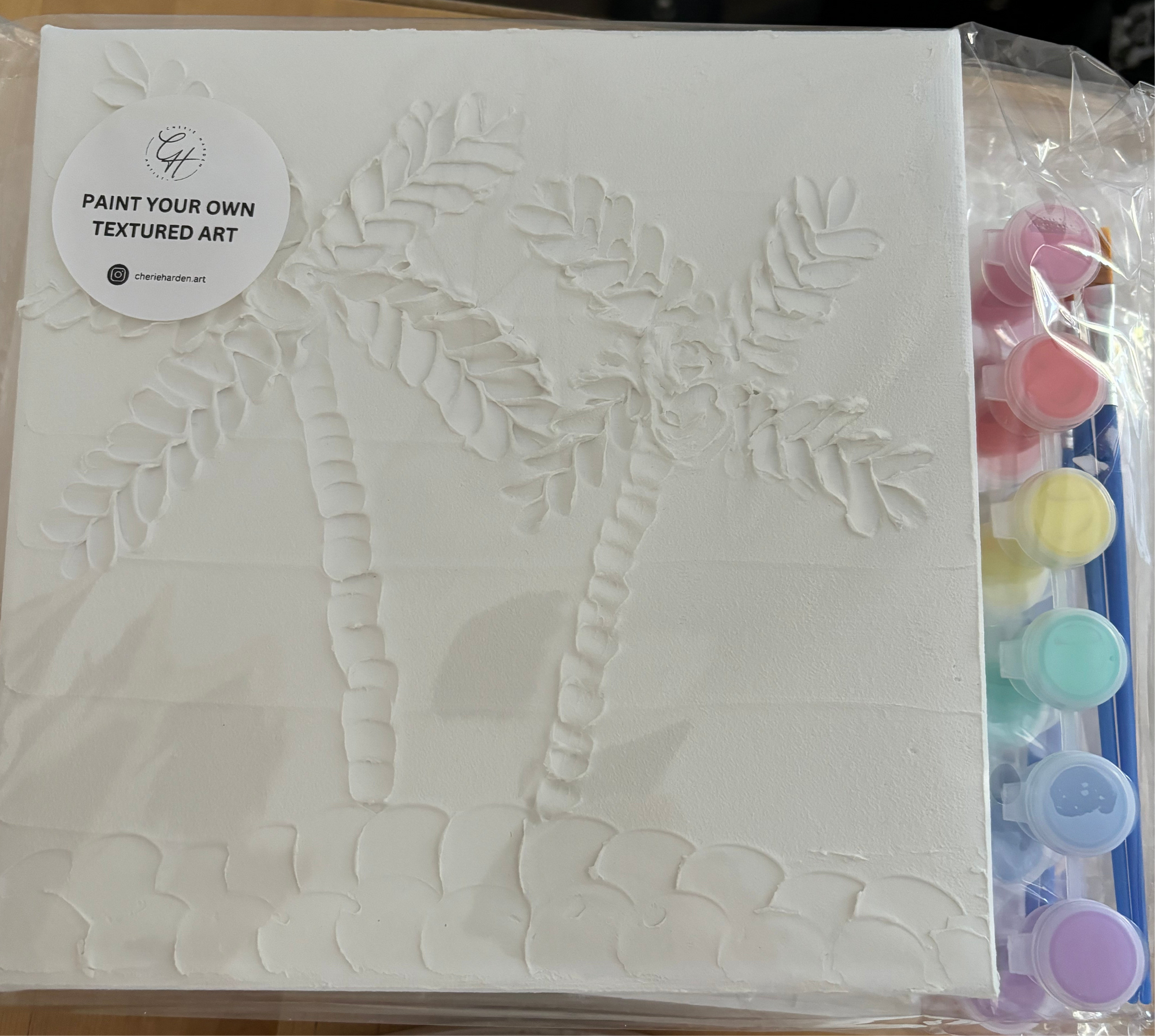 A sealed plastic packaging containing a 'Paint Your Own Textured Art' kit with a white primed canvas visible through the clear front, alongside six paint pots in different colors and two brushes.