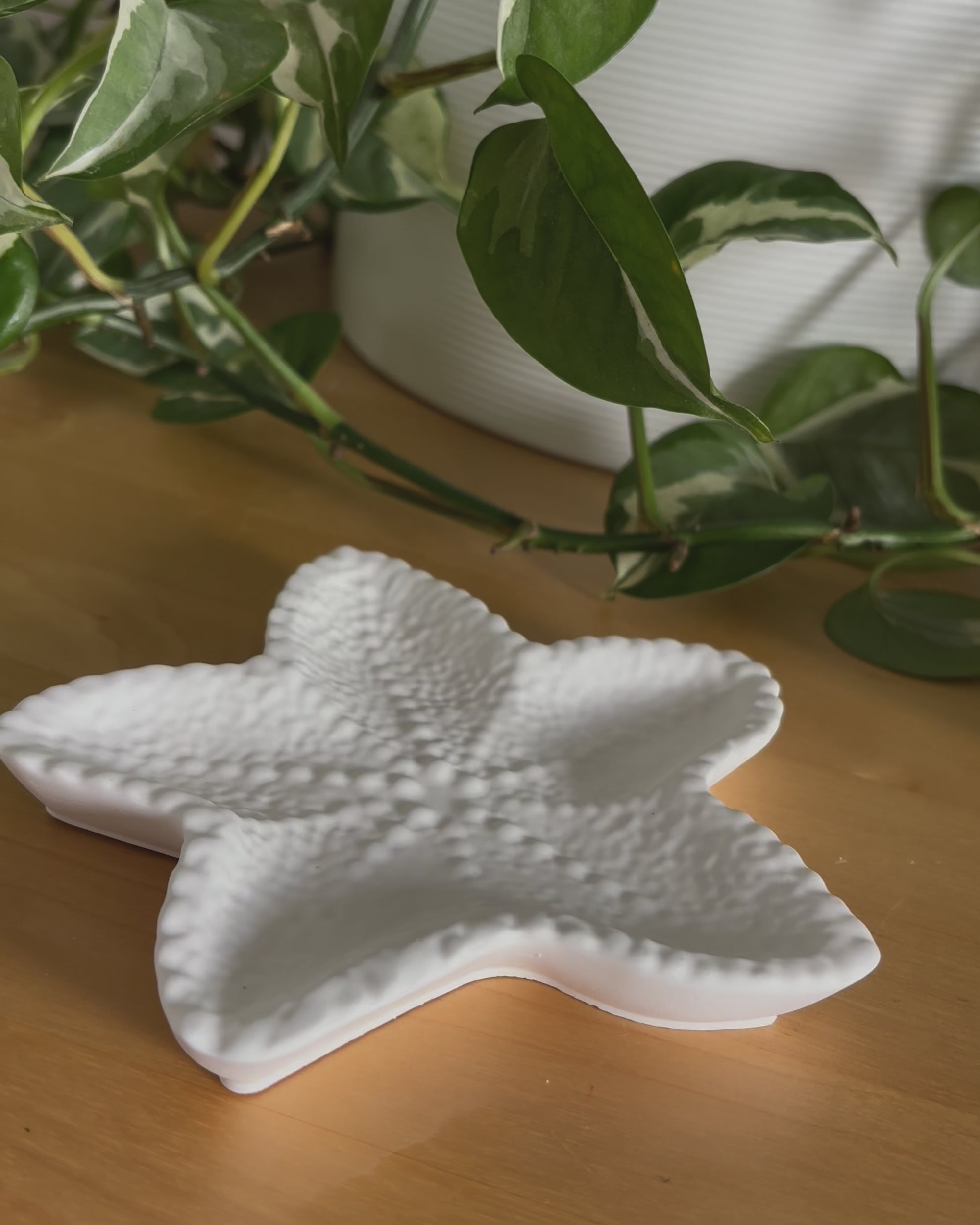 Starfish Trinket Dish